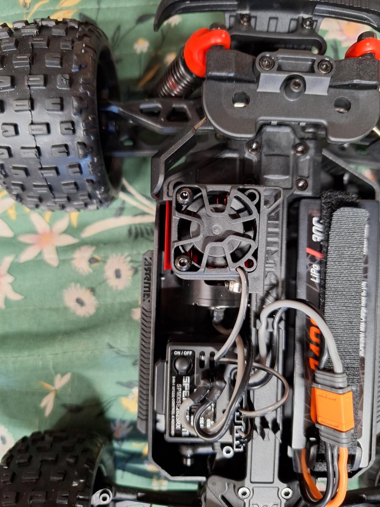 Sommer gerettet